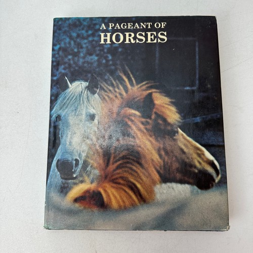 Pageant horses pola - a,